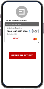 Dynamic CVV Solutions