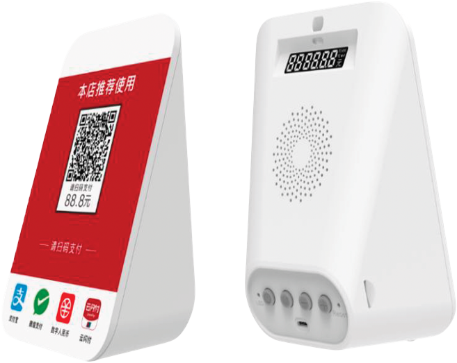 Payment Acceptance Device